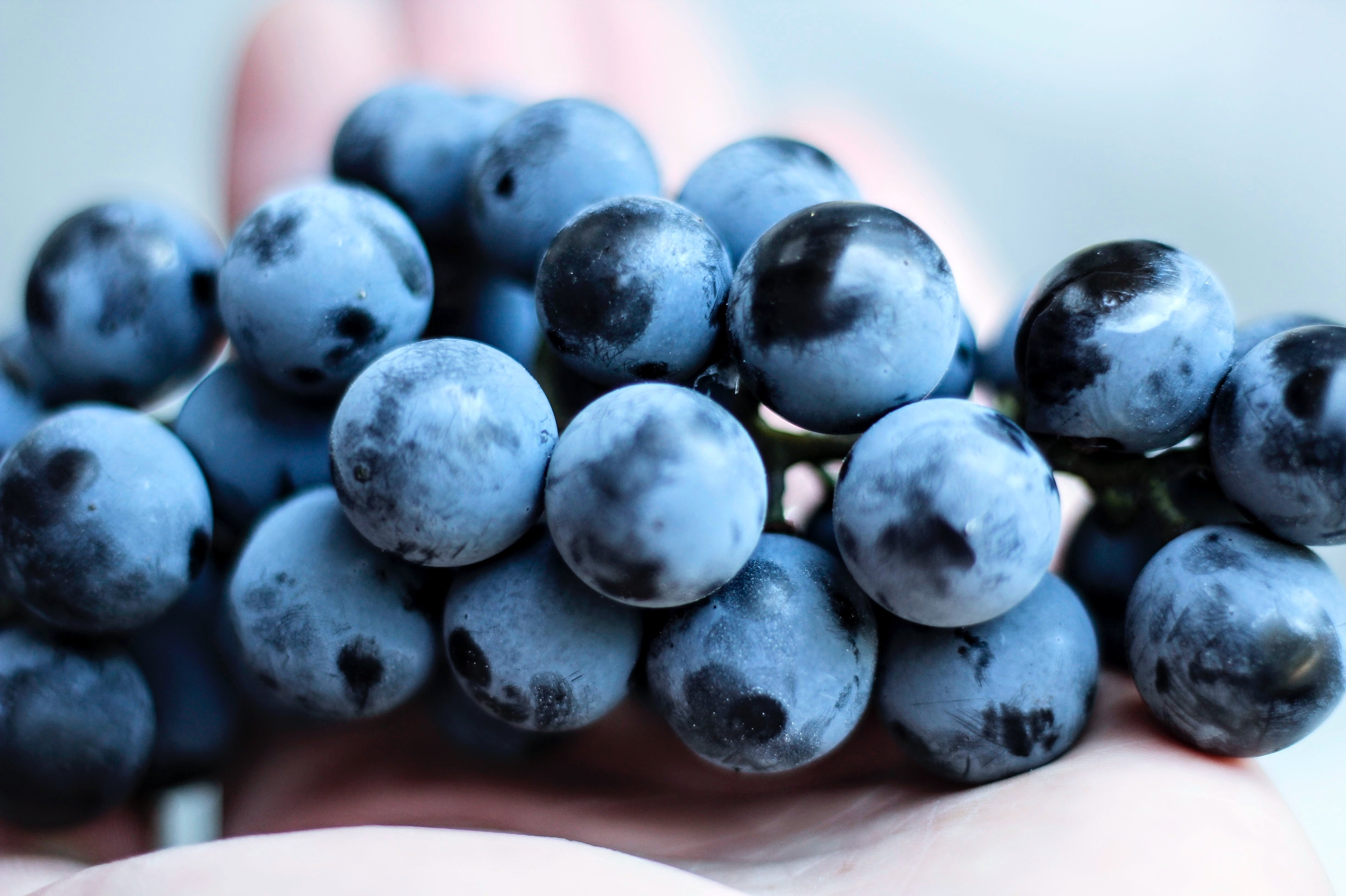 What gives wine its color?