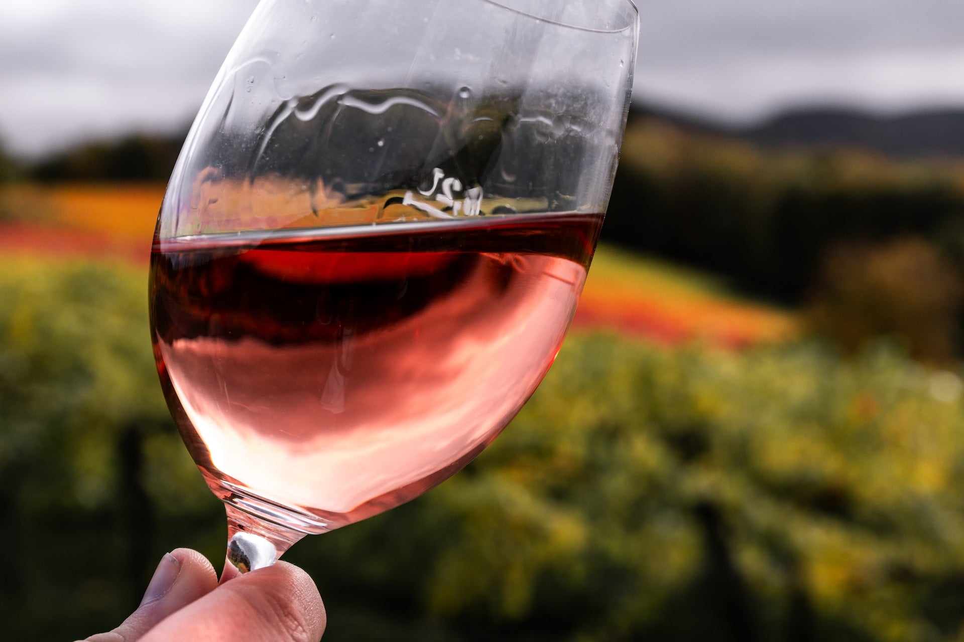 What is a tannin in wine?